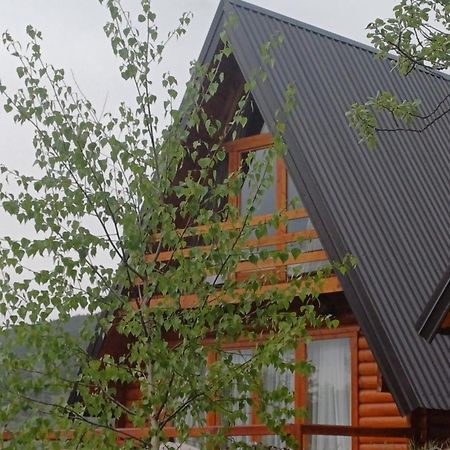 Villa Wood Borje Žabljak Buitenkant foto